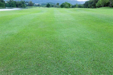 Golf Course Green Grass Field and Lagoon. Stock Photo - Image of golf ...