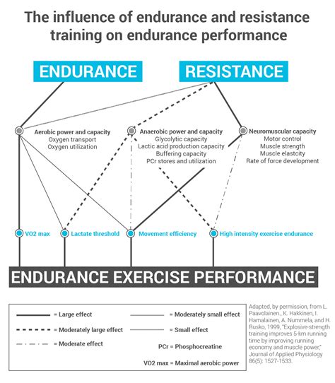 The Strength Behind Endurance Running