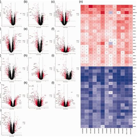 Identification Of Degs Volcano Plots Of Gene Expression Omnibus