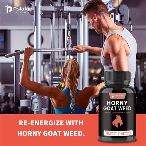 Horny Goat Weed Maca Wurzel Tribulus Panax Ginseng Testosteron