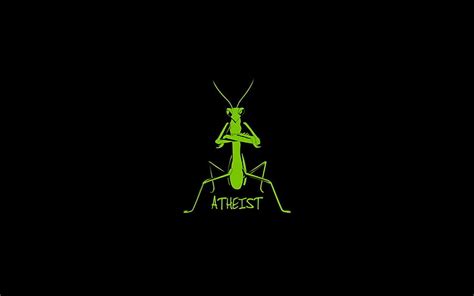 Praying Mantis HD Wallpaper Pxfuel