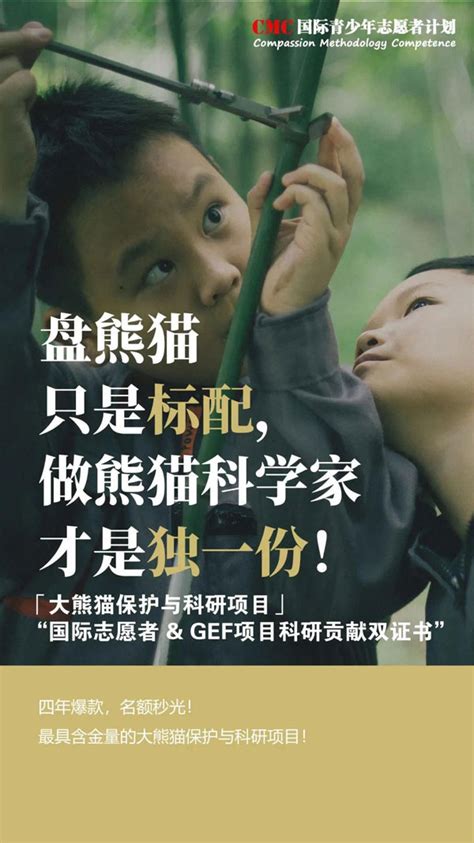 「四川义工」2022熊猫保护夏令营（5天）限时参与外交图书编纂 成长传送门夏令营