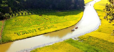 Best Tour To Hanoi Halong Ninh Binh D N Vietnam Northern Tour