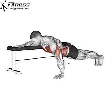 Master One-Arm Push-Ups With Support: Form, Benefits, Tips