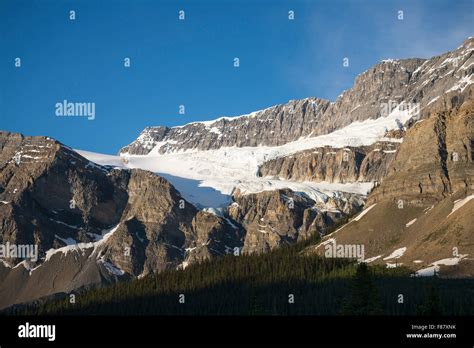 Crowfoot Mountain Glacier, , Banff National Park, Alberta, Canada Stock ...