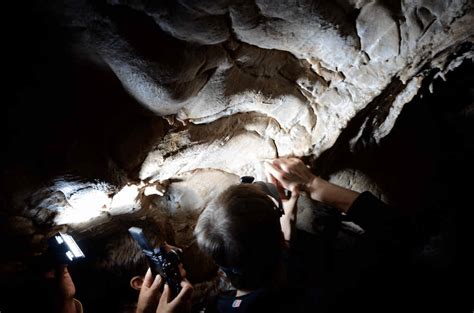 Grotta Del Genovese A Levanzo TP Prelievo Del Carbonato Di Calcio