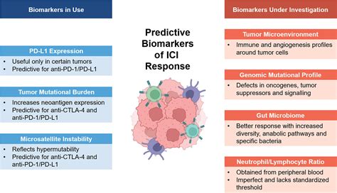 Immune Checkpoint Inhibitor Therapy In Oncology Current Uses And