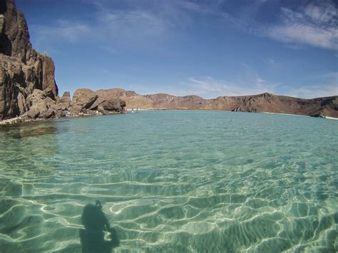 A North American Migration: The Beautiful Baja Peninsula