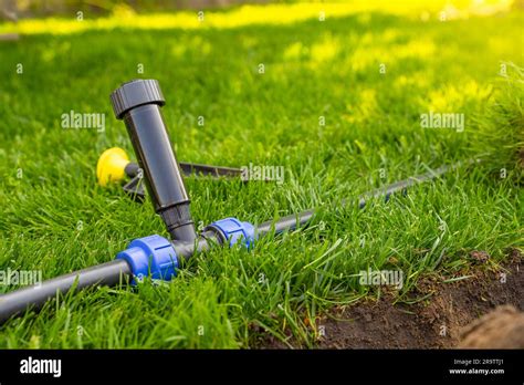 Diy Pop Up Sprinkler Installing A Diy Pop Up Sprinkler 46 Off