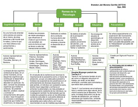 Mapa Conceptual De Ramas De La Psicología Esquemas Y Mapas