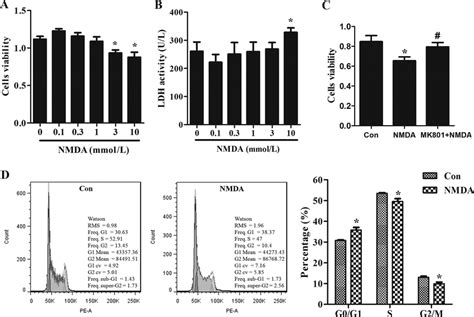 N Methyl D Aspartate Nmda Receptor Nmdar Activation Inhibited Bone