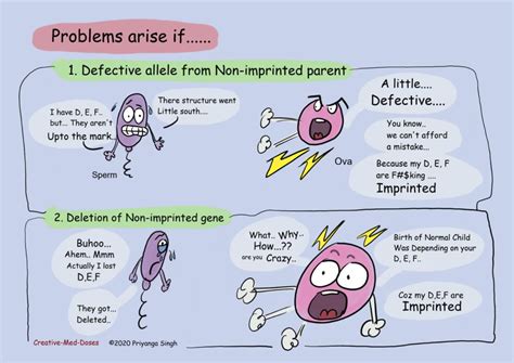 Genomic Imprinting Epigenetic Regulation Creative Med Doses