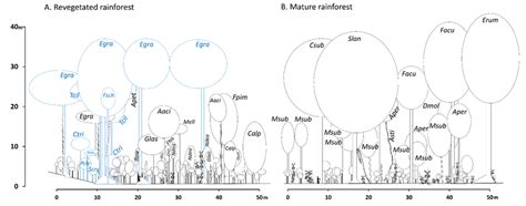 Profile Diagrams Of A Representative Vegetation Transect In A A