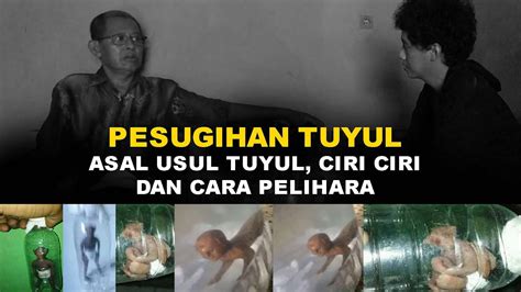 Cerita Pesugihan Tuyul Dari Ciri Ciri Pemilik Tuyul Sampai Asal Usul