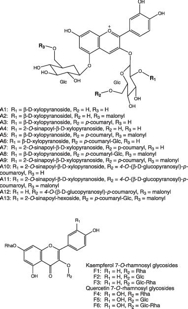 Structures Of Anthocyanins And Flavonol Glycosides Identified And