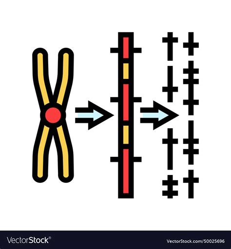 Gene Mapping Cryptogenetics Color Icon Royalty Free Vector