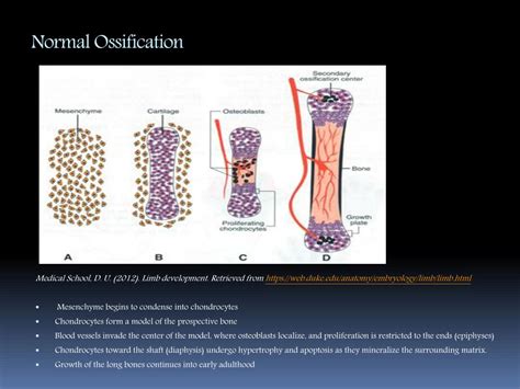 Ppt Heterotopic Ossifications By Christina Brown Powerpoint Presentation Id 2023898