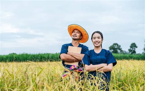 Kebijakan Pemerintah Yang Perlu Dilakukan Untuk Meningkatkan