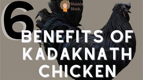 6 Impressive Benefits Of Kadaknath Wild Black Chicken Youtube