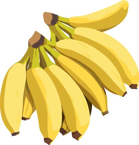 Clip Art Von Ein B Ndel Von Reif Bananen Ai Generativ Png