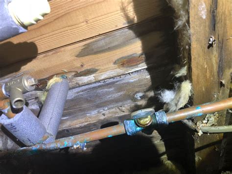 Wet Rot Woodworm King Street McKnight Building Preservation