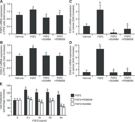 FGF2 Elevates The MRNA Expression Of FGF2 And COX 2 In FPS Cells And