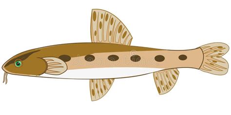 Gudgeon Stock Illustrations – 305 Gudgeon Stock Illustrations, Vectors ...