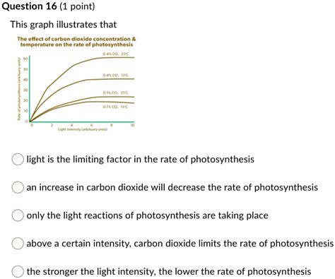 SOLVED Question 16 1 Point This Graph Illustrates That The Effect Of