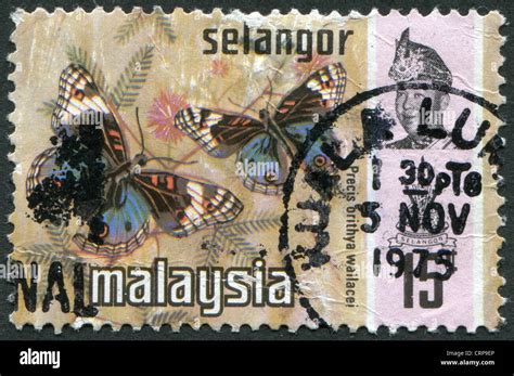 Postage Stamps Printed In Malaysia Is Shown Butterfly Blue Pansy