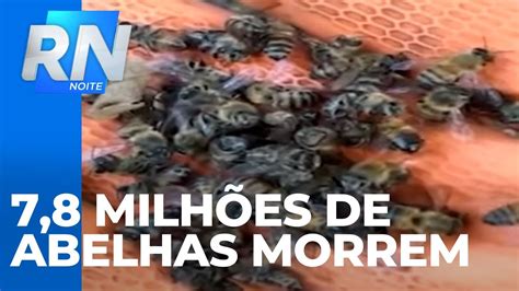 Milh Es De Abelhas Morrem Em Mau Da Serra Youtube