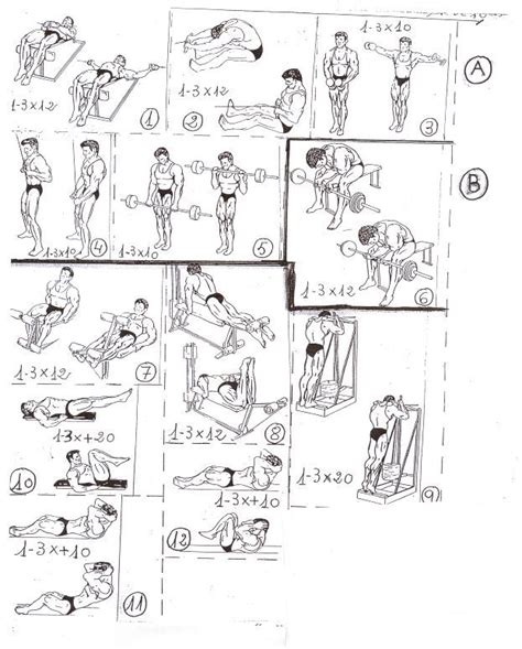 23+ Vince gironda back workout men | absworkoutcircuit