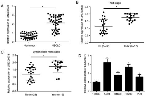 Long Noncoding RNA LINC00978 Promotes Cell Proliferation And Invasion