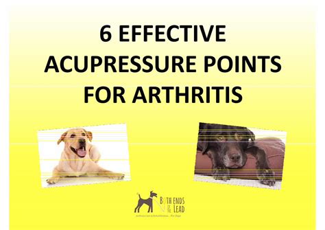 PDF 6 Acupressure Points For Arthritis DOKUMEN TIPS