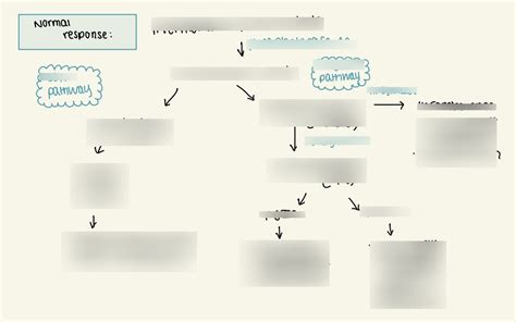 Inflammation Signalling Pathway Diagram Quizlet