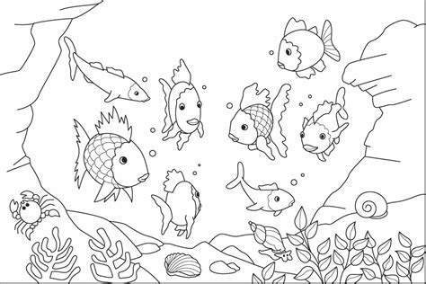 11 Animal Realistic Ocean Coloring Pages