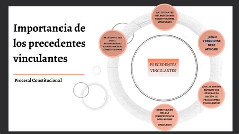 Importancia De Los Precedentes Vinculantes By Helen Alexandra Plasencia