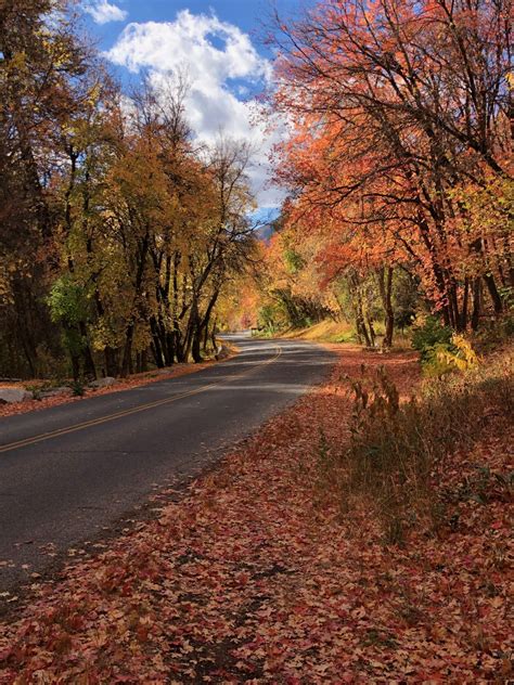 The Best of Millcreek Canyon - Utah Elope