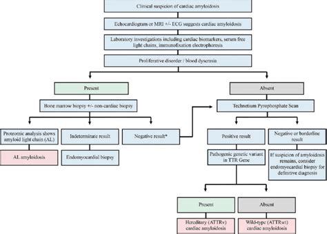 Diagnostic Algorithm For Attr Cardiac Amyloidosis Download