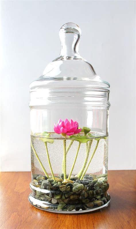 Water Plants Jar G4rden Plant