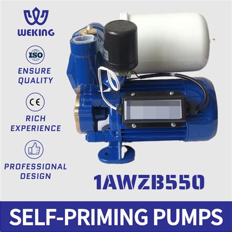 1awzb550 Self Priming Auto Automatic Control Hot Cold Water Booster Pumps China Self Priming