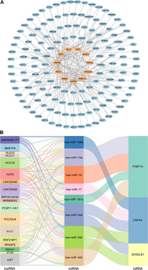 Frontiers Diagnostic And Prognostic Value Of Autophagy Related Key