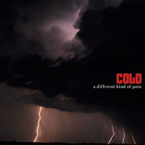 Cold - A Different Kind of Pain (2005) ~ Mediasurfer.ch