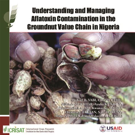 Understanding And Managing Aflatoxin Contamination In The Groundnut