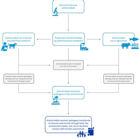 Antimicrobial Resistance The Silent Global Pandemic Australian