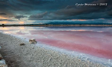 17 Best images about Pink Beach, Sardinia, Italy on Pinterest ...