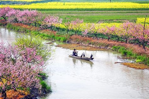 杏花春雨春水，一幅清润的江南画卷凤凰网宁波凤凰网