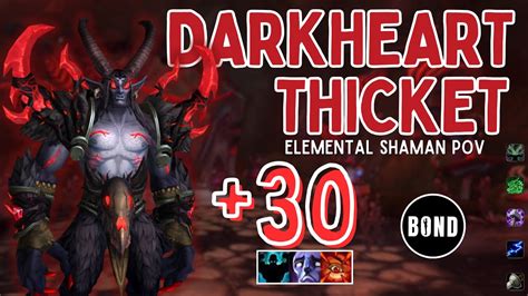 Darkheart Thicket Fortified Afflicted Raging Elemental Shaman