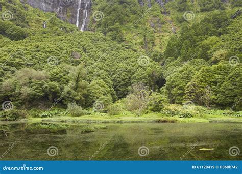 Azores Landscape In Flores Island Waterfalls In Pozo Da Alagoin Stock