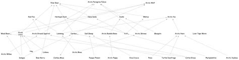 Tundra Food Web Insight Maker