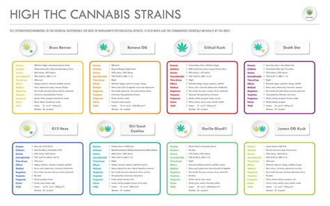 Highest Thc Level Strains 2025 - Ajay Lorrie